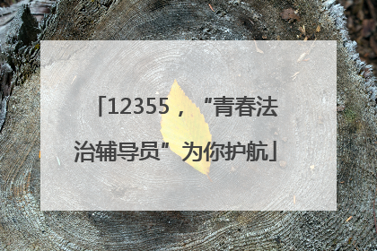 12355，“青春法治辅导员”为你护航