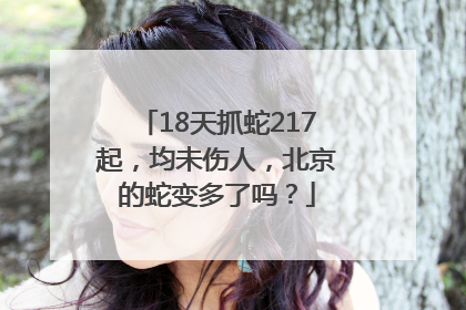 18天抓蛇217起，均未伤人，北京的蛇变多了吗？