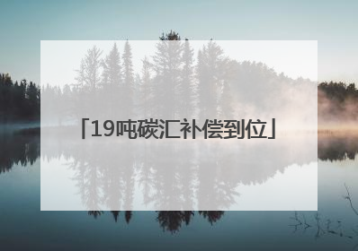 19吨碳汇补偿到位