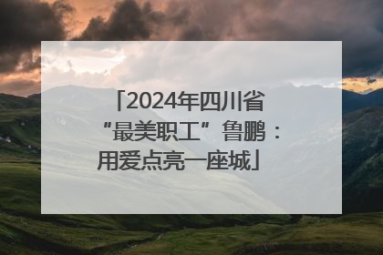 2024年四川省“最美职工”鲁鹏：用爱点亮一座城