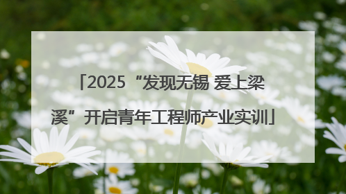 2025“发现无锡 爱上梁溪”开启青年工程师产业实训