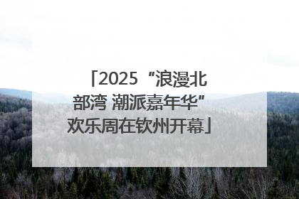2025“浪漫北部湾 潮派嘉年华”欢乐周在钦州开幕
