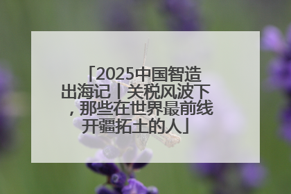 2025中国智造出海记丨关税风波下，那些在世界最前线开疆拓土的人