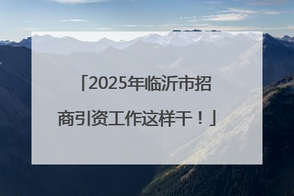2025年临沂市招商引资工作这样干！