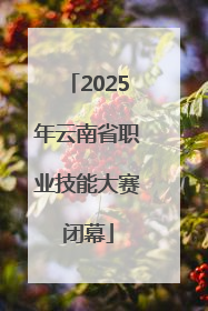 2025年云南省职业技能大赛闭幕