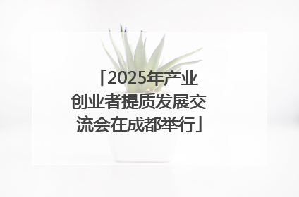2025年产业创业者提质发展交流会在成都举行