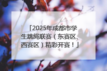 2025年成都市学生跳绳联赛（东赛区、西赛区）精彩开赛！