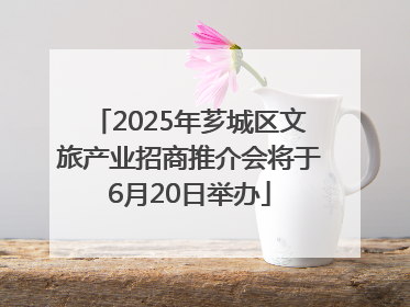 2025年芗城区文旅产业招商推介会将于6月20日举办