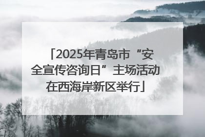 2025年青岛市“安全宣传咨询日”主场活动在西海岸新区举行