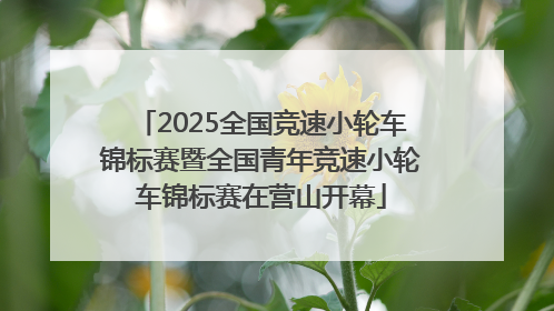 2025全国竞速小轮车锦标赛暨全国青年竞速小轮车锦标赛在营山开幕