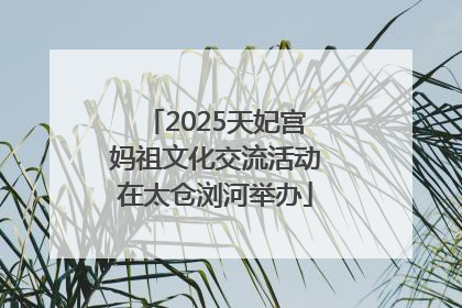 2025天妃宫妈祖文化交流活动在太仓浏河举办