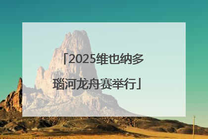 2025维也纳多瑙河龙舟赛举行