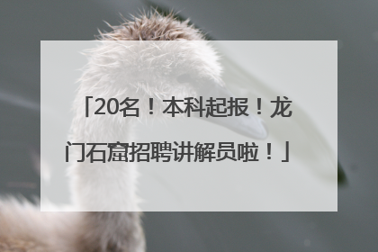 20名！本科起报！龙门石窟招聘讲解员啦！