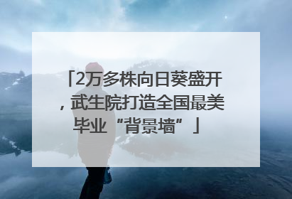 2万多株向日葵盛开，武生院打造全国最美毕业“背景墙”