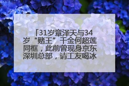 31岁章泽天与34岁“赌王”千金何超莲同框，此前曾现身京东深圳总部，请工友喝冰饮，点了300多杯