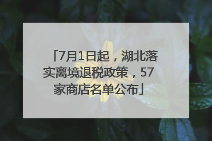 7月1日起，湖北落实离境退税政策，57家商店名单公布