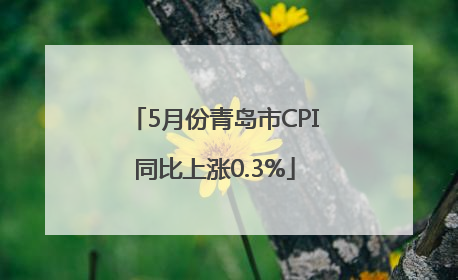 5月份青岛市CPI同比上涨0.3%