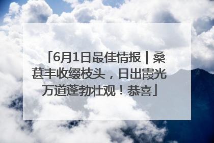 6月1日最佳情报｜桑葚丰收缀枝头，日出霞光万道蓬勃壮观！恭喜