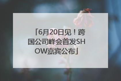 6月20日见！跨国公司峰会首发SHOW嘉宾公布