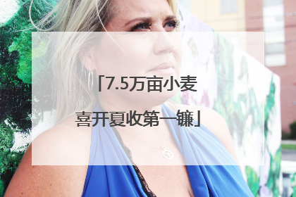 7.5万亩小麦喜开夏收第一镰