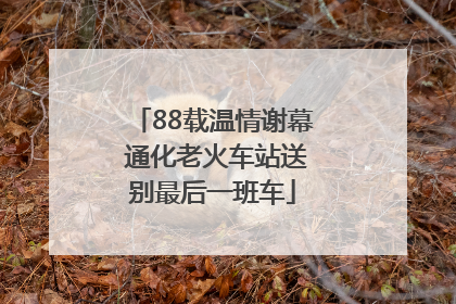 88载温情谢幕 通化老火车站送别最后一班车