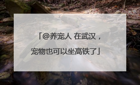 @养宠人 在武汉，宠物也可以坐高铁了