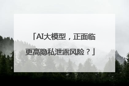 AI大模型，正面临更高隐私泄露风险？
