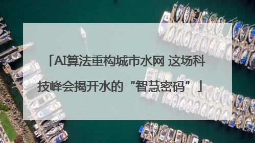 AI算法重构城市水网 这场科技峰会揭开水的“智慧密码”