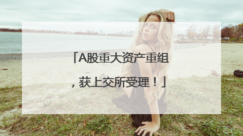 A股重大资产重组，获上交所受理！