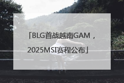 BLG首战越南GAM，2025MSI赛程公布