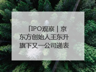 IPO观察｜京东方创始人王东升旗下又一公司递表，3年亏损近50亿元，近8成收入来自同一客户
